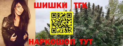 ешки Жуковский