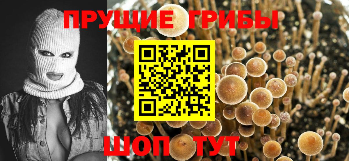 Галлюциногенные грибы MAGIC MUSHROOMS Лангепас