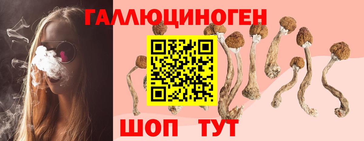 Лангепас  цены наркотик  Вход с VPN  Псилоцибиновые грибы Psilocybe  Галлюциногенные грибы Psilocybine cubensis 